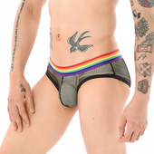 Seksikad meeste püksid hingavad võrk Hole meeste aluspesu bikiinid meeste õõnsad vikerkaare aluspüksid pesu aluspüksid