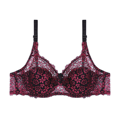 Nou Sosire See Through Dantela Broderie Sutiene Femei Sexy Lenjerie Plus Size Bralette Sutien