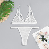 sous vetement femme Uus moodne pitsiline rinnahoidja ülikond Seksikas ühevärviline pesukomplekt naistele läbipaistev aluspesu komplekt трусы женские