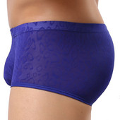 Bokserid Meeste Pitsist võrk aluspesu Lühikesed püksid Bokserid Seksikad hingavad aluspüksid Mugavad meeste kohvrid Cueca aluspüksid