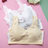 Κλείσιμο στην πλάτη Βαμβακερά κοριτσίστικα αθλητικά σουτιέν για νεαρά φοιτητικά εσώρουχα Εφηβικά εσώρουχα με επένδυση για εφηβικό γιλέκο χαριτωμένα σωληνάκια