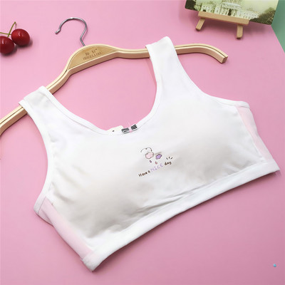 Κλείσιμο στην πλάτη Βαμβακερά κοριτσίστικα αθλητικά σουτιέν για νεαρά φοιτητικά εσώρουχα Εφηβικά εσώρουχα με επένδυση για εφηβικό γιλέκο χαριτωμένα σωληνάκια