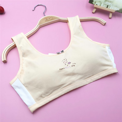 Κλείσιμο στην πλάτη Βαμβακερά κοριτσίστικα αθλητικά σουτιέν για νεαρά φοιτητικά εσώρουχα Εφηβικά εσώρουχα με επένδυση για εφηβικό γιλέκο χαριτωμένα σωληνάκια