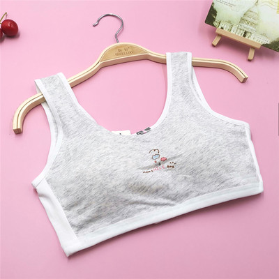 Κλείσιμο στην πλάτη Βαμβακερά κοριτσίστικα αθλητικά σουτιέν για νεαρά φοιτητικά εσώρουχα Εφηβικά εσώρουχα με επένδυση για εφηβικό γιλέκο χαριτωμένα σωληνάκια