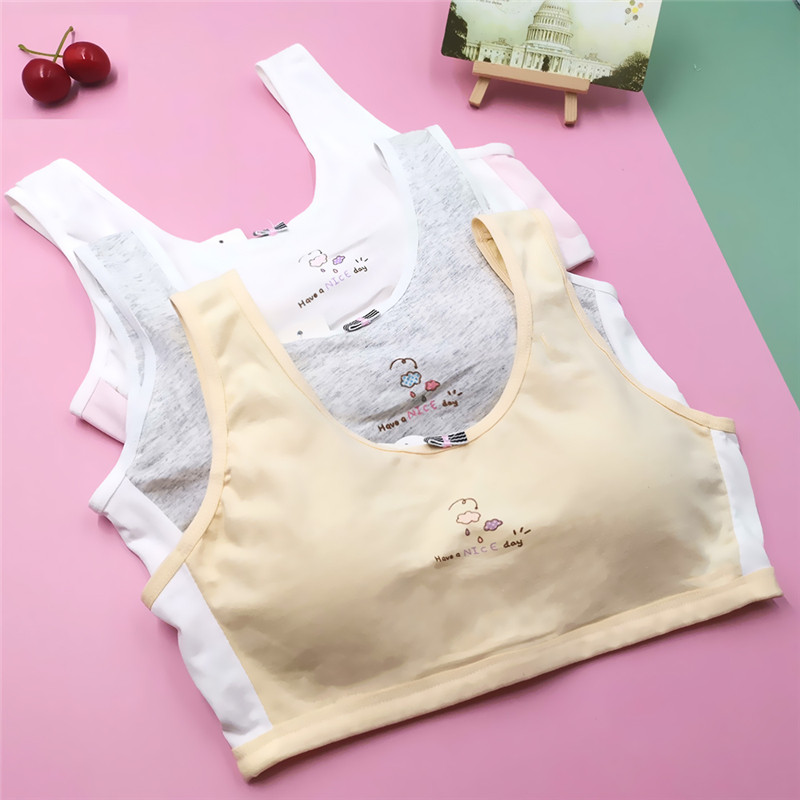 Κλείσιμο στην πλάτη Βαμβακερά κοριτσίστικα αθλητικά σουτιέν για νεαρά φοιτητικά εσώρουχα Εφηβικά εσώρουχα με επένδυση για εφηβικό γιλέκο χαριτωμένα σωληνάκια