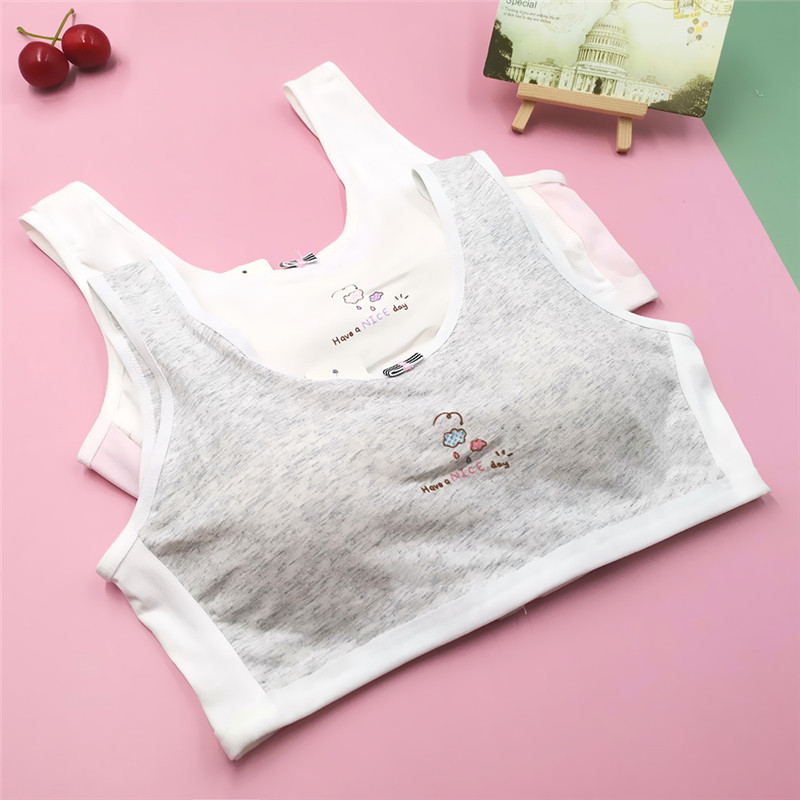 Κλείσιμο στην πλάτη Βαμβακερά κοριτσίστικα αθλητικά σουτιέν για νεαρά φοιτητικά εσώρουχα Εφηβικά εσώρουχα με επένδυση για εφηβικό γιλέκο χαριτωμένα σωληνάκια