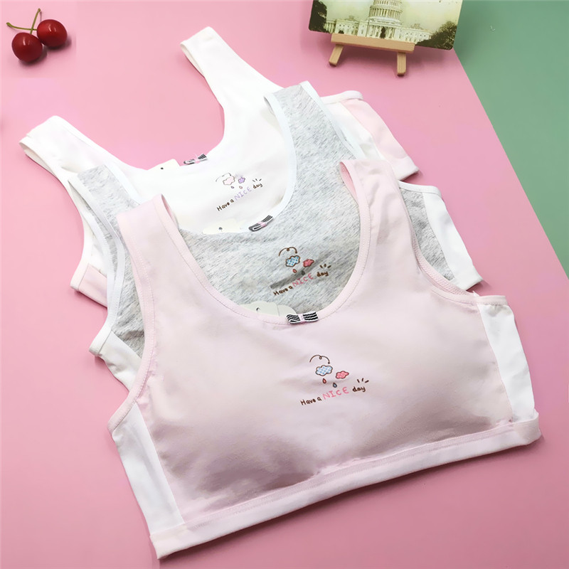 Κλείσιμο στην πλάτη Βαμβακερά κοριτσίστικα αθλητικά σουτιέν για νεαρά φοιτητικά εσώρουχα Εφηβικά εσώρουχα με επένδυση για εφηβικό γιλέκο χαριτωμένα σωληνάκια