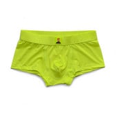 Aluspüksid Meestele Bokserid Calzoncillos Solid Ropa Interior Hombre Võrk armas multikas Seksikas meeste aluspesu pesu Boxer Homme püksid