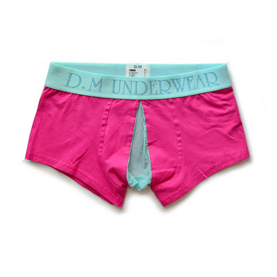 Chiloți pentru bărbați Boxeri din plasă sexy Calzoncillos transparente Ropa Interior Hombre Lenjerie din bumbac Lenjerie de corp Bărbați Cuecas