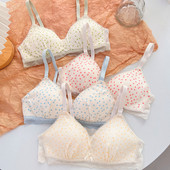 Cute Dot Women Sexy Push Up σουτιέν Υψηλής ποιότητας Εσώρουχα Συγκεντρώστε Γυναικείες δαντέλες Γυναικεία σουτιέν χωρίς ραφές Bralette Girl Comfort Εσώρουχα
