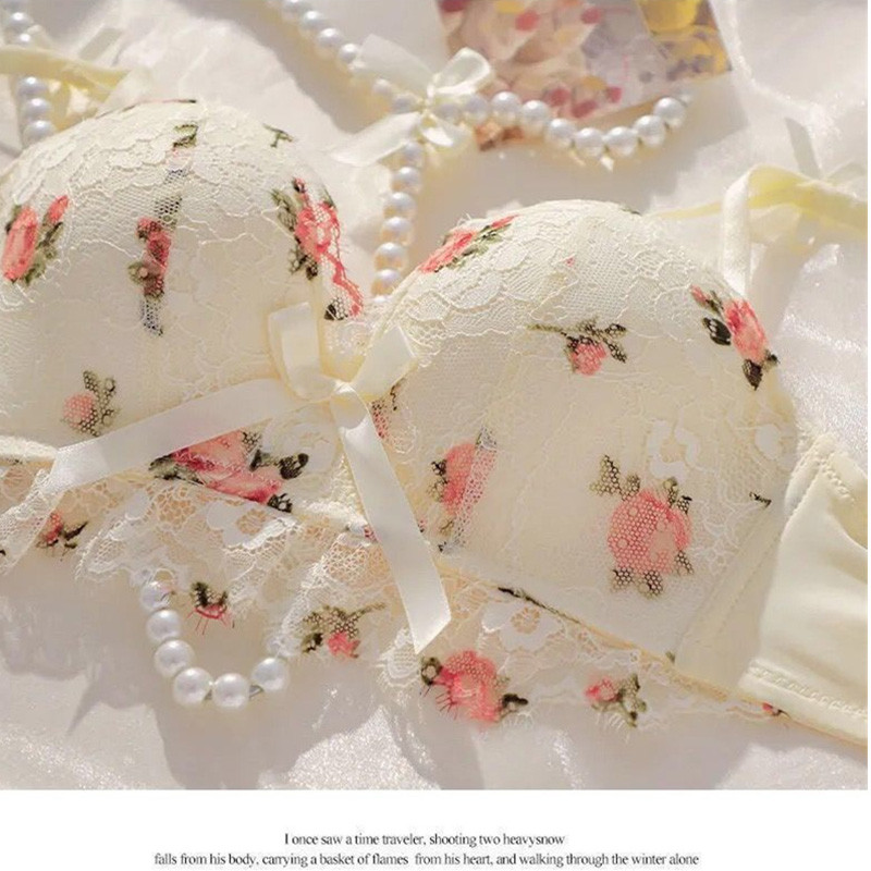 Set sutiene și chiloți push-up pentru femei, dantelă florală, transparentă, respirabilă, drăguță, lenjerie intima sexy, sutien fără sudură