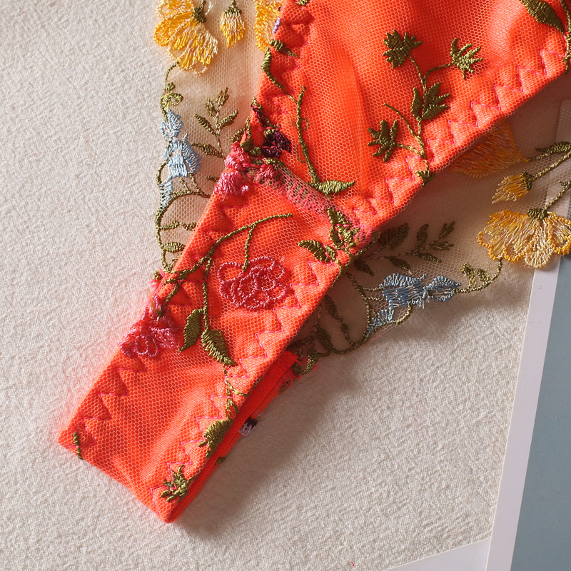 Ellolace Lenjerie sexy Set de broderie din dantelă de lux femei 2 piese sutien erotic transparent și chiloți Lenjerie de corp de lux Orange Bilizna