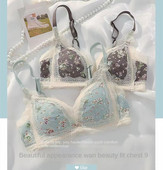 Sutien de damă Slip Costum Lenjerie de corp Sutien Push Up de modă Chiloți sexy din dantelă Sutien cu inel fără oțel pentru fete Set de lenjerie sexy pentru femei