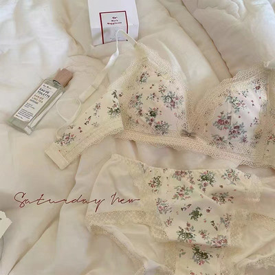 Sutien de damă Slip Costum Lenjerie de corp Sutien Push Up de modă Chiloți sexy din dantelă Sutien cu inel fără oțel pentru fete Set de lenjerie sexy pentru femei