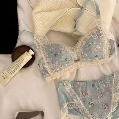 Sutien de damă Slip Costum Lenjerie de corp Sutien Push Up de modă Chiloți sexy din dantelă Sutien cu inel fără oțel pentru fete Set de lenjerie sexy pentru femei