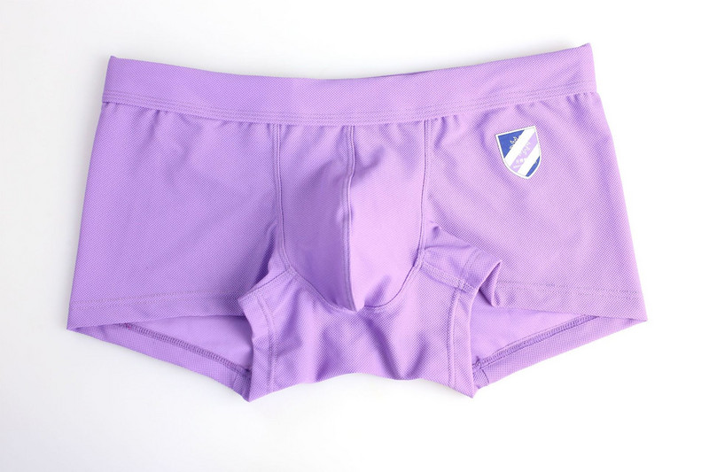 2020 HRABRA OSOBA Marka donjeg rublja Muške bokserice Muške bokserice Kratke hlače Muške gaćice Gaćice Kratke hlače U konveksne torbice Gaće