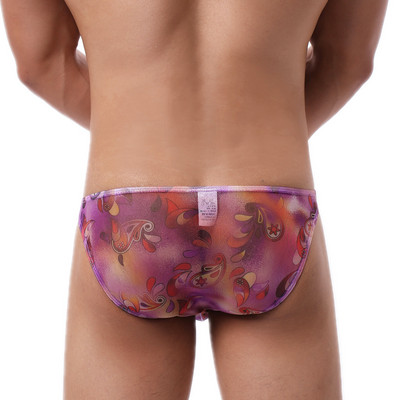 Seksi muško donje rublje Gaćice Muške prozirne boemske gaćice Cuecas Calzoncillos Bikini niskog struka Muške gaće Mrežasto donje rublje Sissy