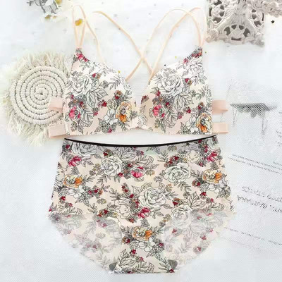 Ženski komplet grudnjaka s cvjetnim printom Donje rublje Seksi Push Up donje rublje Ljepota Bežični prsluk Ženska prednja kopča Bešavni leopard grudnjak