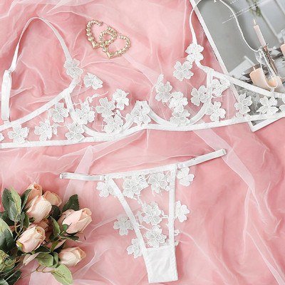Naiste läbipaistev üliõhuke aluspesukomplekt, sinine lilltikandid, aplikatsiooniga võrkpesu naistele seksikas rinnahoidja ja püksikute komplekt, roosa