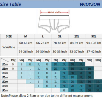 WIDYZON Ice Silk Sexy Underwear Men Briefs Breathable Low Rise Men\'s Panties Ropa Interior Hombre Solid Brief Bikini Underpants