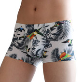 Vyriški lediniai šilko bokseriniai šortai, kvėpuojantys, besiūliai itin ploni spausdinimo raštai, apatiniai vyriški