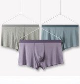 Ανδρικά εσώρουχα Ice Silk Boxers Ανδρικά αναπνεύσιμα εσώρουχα Στερεά σορτς υψηλής ποιότητας Hot έκπτωση Σώβρακα Ανδρικά μπόξερ