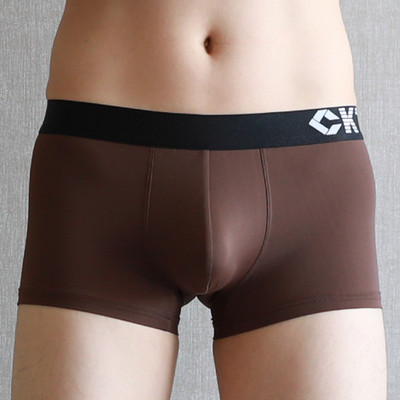 Σέξι ανδρικά εσώρουχα μπόξερ σορτς Cool Ice Silk Seamless εσώρουχα Άνδρας Σώβρακο με μεγάλη θήκη Cueca Calzoncillos