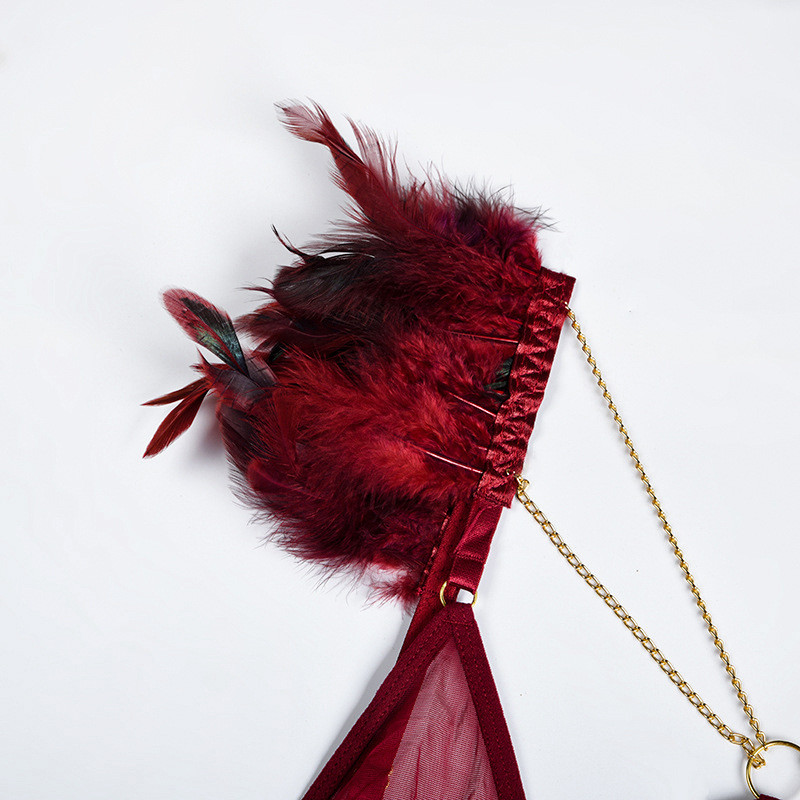 Εσώρουχα με πούπουλα Ellolace Ερωτικά, φανταχτερά εσώρουχα 3 τεμαχίων, σουτιέν με κλίβανο με οικείο σετ αλυσίδας, εσώρουχα με δαντέλα χωρίς ραφή