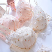 Νέο σέξι δαντελένιο σετ σουτιέν με λουράκι ώμου Γυναικεία εσώρουχα Push Up Μεγάλο μέγεθος Εσώρουχα Plus Two Cups Underwire BCDE Cup Σετ σουτιέν