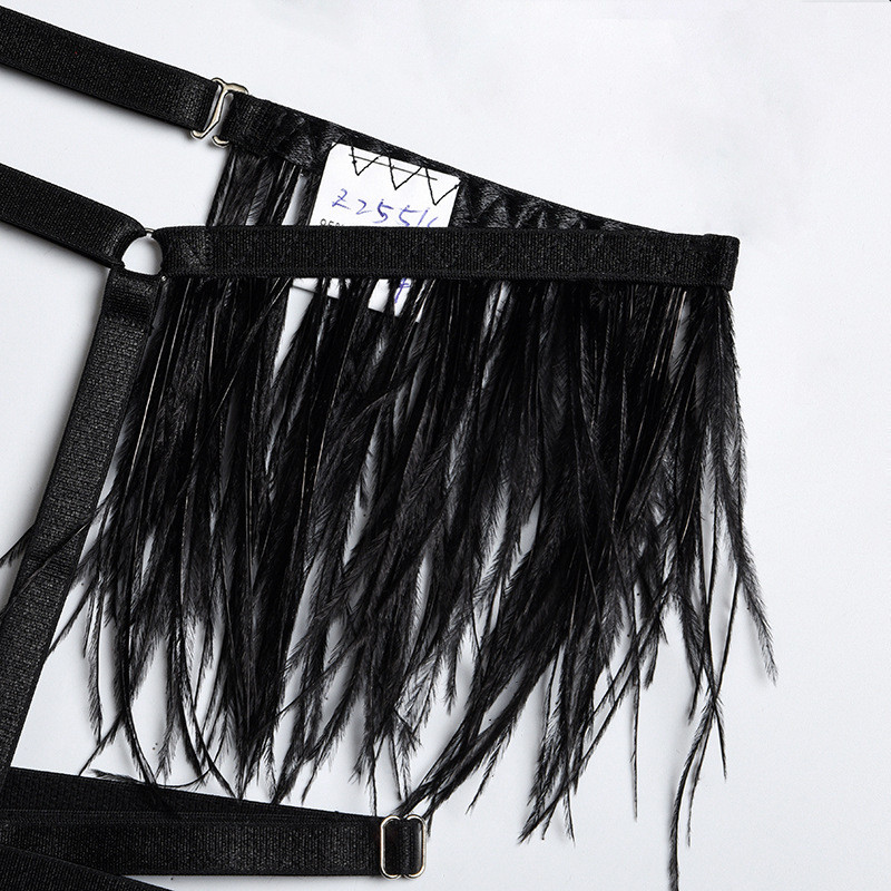 Lenjerie cu pene Ellolace Lenjerie de corp sexy cu buline Set sutien transparent femeie 3 piese Seturi erotic fancy slip ținută transparentă