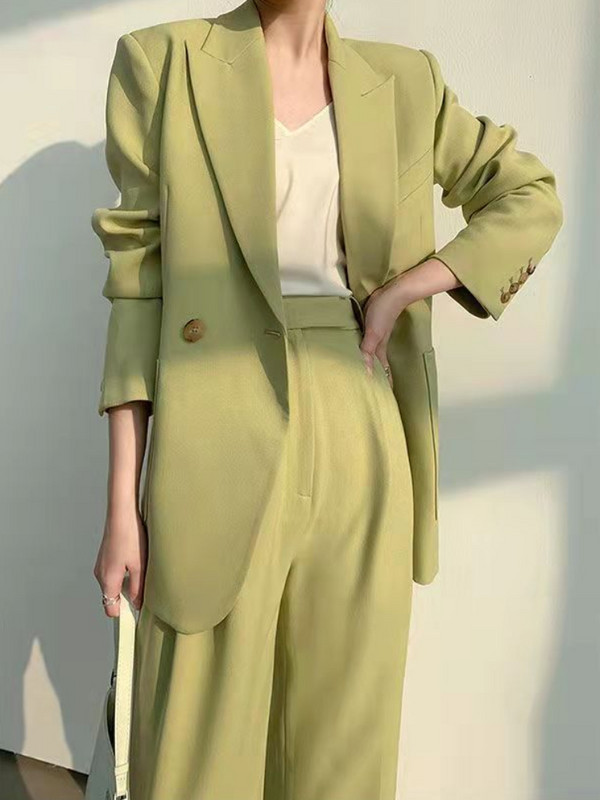 Novo modno elegantno odijelo s hlačama za poslovne žene Uredski tanak vintage formalni sako odijela s hlačama Ženska ležerna odjeća Dvodijelni set