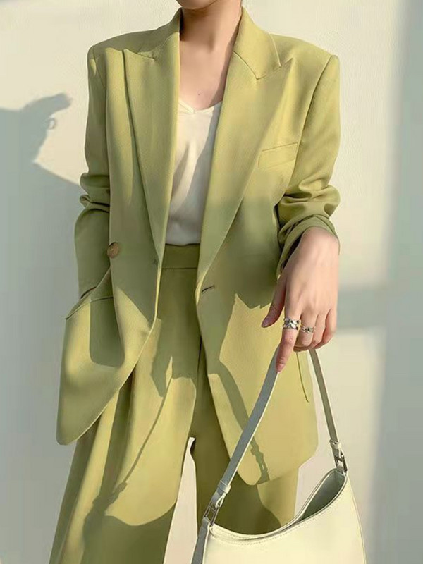 Novo modno elegantno odijelo s hlačama za poslovne žene Uredski tanak vintage formalni sako odijela s hlačama Ženska ležerna odjeća Dvodijelni set