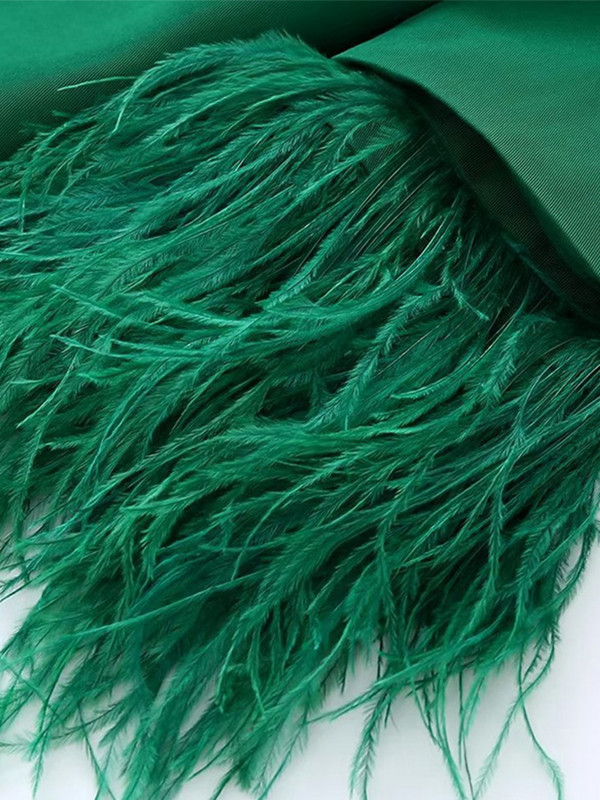 Blazer elegant pentru femeie, costum de haină pentru femei, mâneci cu pene, blazere și pantaloni cu talie înaltă, costum 2 piese, ținută de îmbrăcăminte exterioară pentru damă.