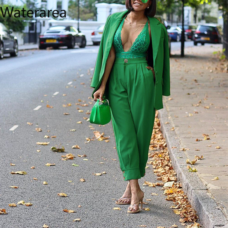 Waterarea Street Temperament Ženska odijela Opušteni sakoi dugih rukava Kaput i hlače Elegantna uredska odjeća Dvodijelni komplet jesen