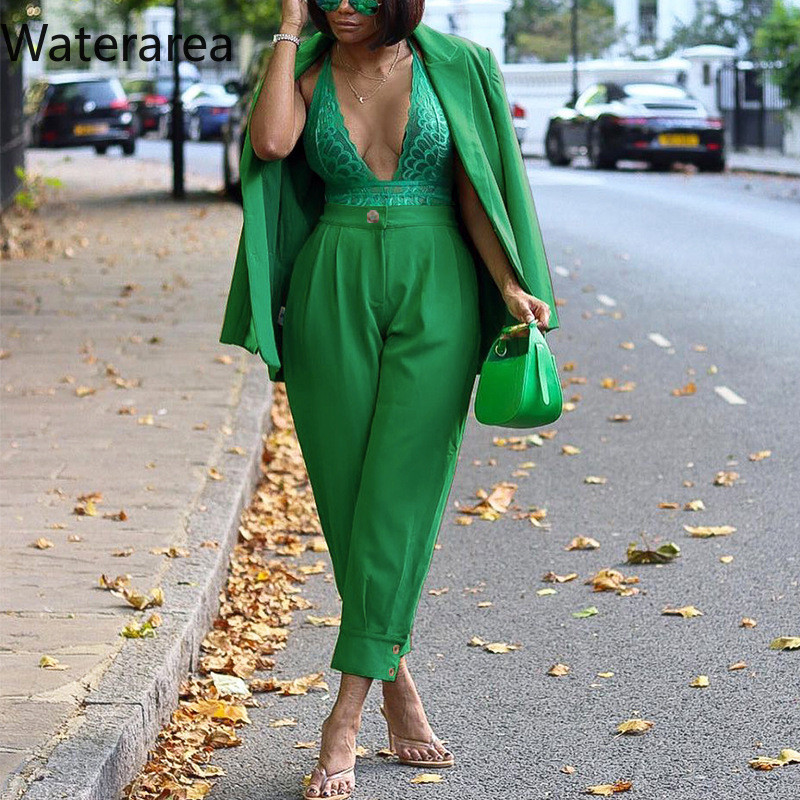 Waterarea Street Temperament Ženska odijela Opušteni sakoi dugih rukava Kaput i hlače Elegantna uredska odjeća Dvodijelni komplet jesen