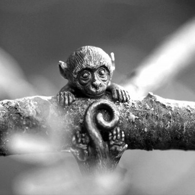 Žaba žaba Životinje Prstenje za žene muškarce Umjetnički dizajn Retro otvaranje promjenjive veličine Unisex žensko prstenje u srebrnoj boji Poklon