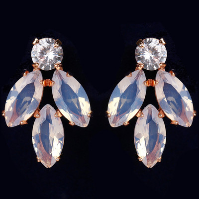 Mieli sidabro spalvos pareiškimai gėlių auskarai papuošalai su CZ cirkonio krištoliniu auskaru moterims vestuvinė dovana