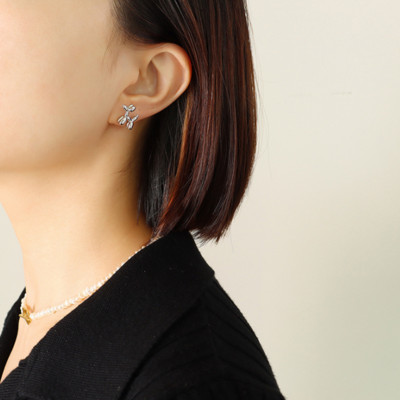 316L nerūdijančio plieno paprastas laukinio oro šuns karoliai apyrankės auskarai madingi moteriški rinkiniai SAN515