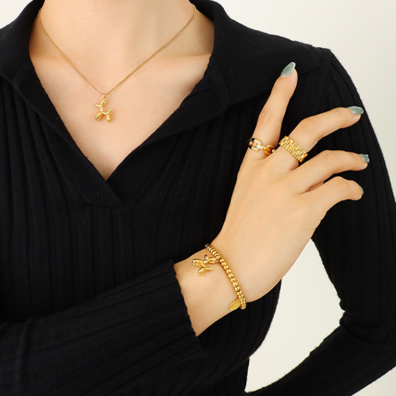 316L nerūdijančio plieno paprastas laukinio oro šuns karoliai apyrankės auskarai madingi moteriški rinkiniai SAN515