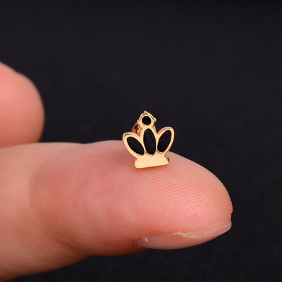 1kom naušnice od nehrđajućeg čelika za žene Zvjezdica Srce Tratinčica Leptir Križ Helix Hrskavica Tragus Režanj Nakit za bušenje ušiju