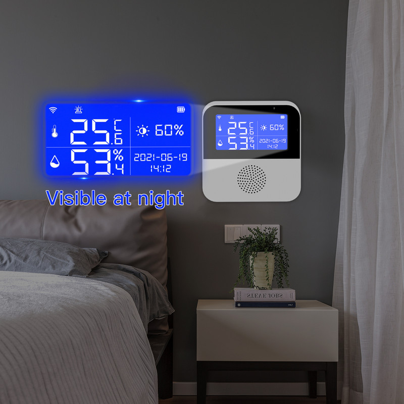 ANGUS Smart Home Wifi temperatūras mitruma sensors Home Assistant 2,9 collu LCD displejs atbalsta ārējo temperatūras sensoru līniju