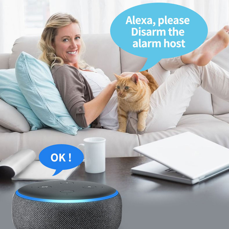 Tuya Smart WiFi signalizacijos sistema GSM belaidė namų apsauga nuo įsilaužimo garso signalizacija laidinis detektorius Smart Life APP Alexa Google Home