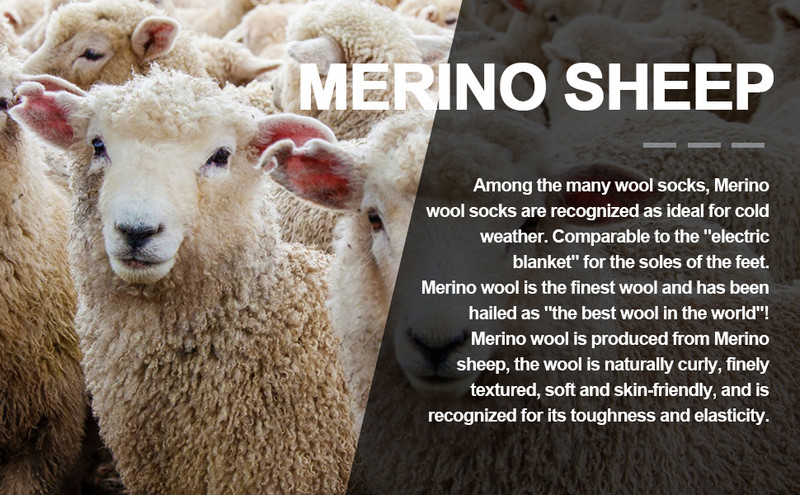 YUEDGE 2 Pack Merino vilnos slidinėjimo kojinės Žieminės terminės kojinės snieglenčių sportui Slidinėjimui Čiuožinėjimui Lauko Sportui