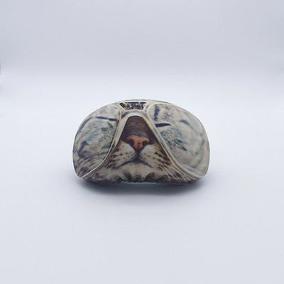 Minkštas audinys, tamprus slidinėjimo akinių dangtelis gyvūnams dizaino slidinėjimo akinių dangtelis animacinis filmas Mielas slidinėjimo akinių dangtelis akinių apsauga