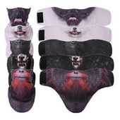 3D gyvūnų žiemos vilnos slidžių šalikas dviratininkams veido kaukė snieglenčių juosta galvos apdangalas Kaklo šildytuvas trikampis dviratis sustorėjęs seilinukai kepuraitės