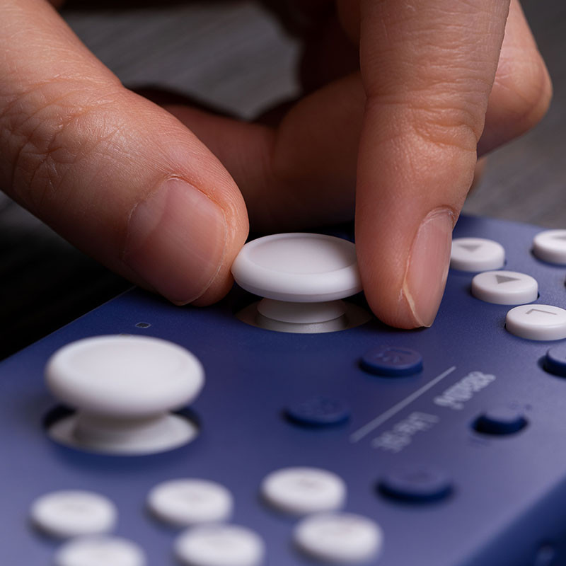 8BitDo – Lite SE Bluetooth žaidimų pultelis, skirtas Switch, Switch Lite, Android ir Raspberry Pi, skirtas riboto judumo žaidėjams