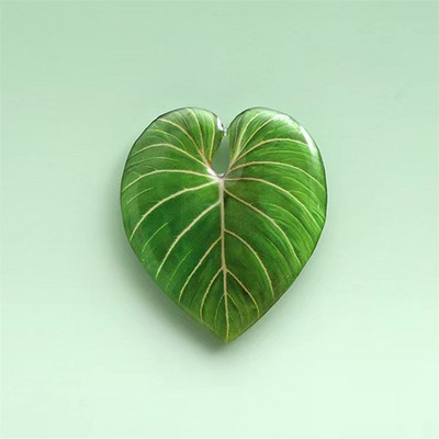 Suport de telefon de lux, lucios, de simulare, extensibil, Griptok, Suport pentru inel pentru deget Suport pliabil pentru priză pentru telefon