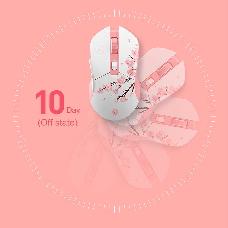 DAREU kaherežiimiline mängurihiir RGB 2,4G juhtmeta mängurihiired Sisseehitatud 930 mAh laadimisaku makrokomplektiga arvuti sülearvuti jaoks