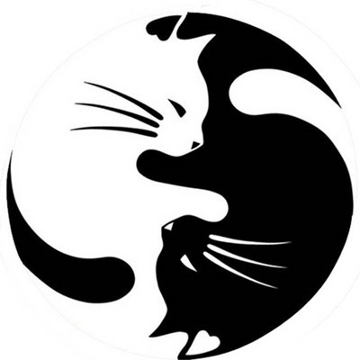 Βάση δωρεάν αποστολής για πτυσσόμενη βάση κινητού τηλεφώνου Υποστήριξη Tok Τηλέφωνο Βάση στήριξης κινητού τηλεφώνου Βάση φορητού υπολογιστή