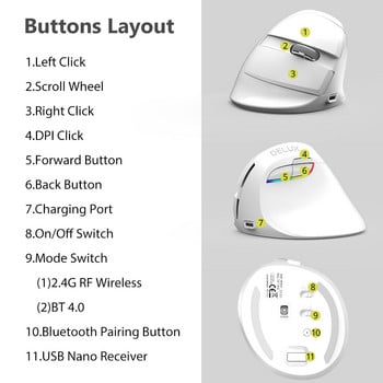 Delux M618 Мини ергономична мишка Безжична вертикална мишка Бяла Bluetooth 2.4GHz RGB акумулаторна безшумна мишка за офис